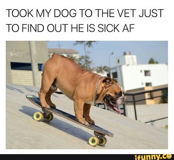 Sick Dog Meme Skateboard