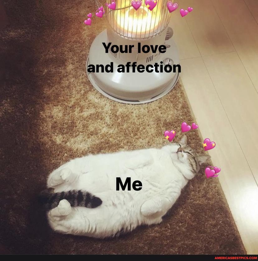 Your love' ll
and