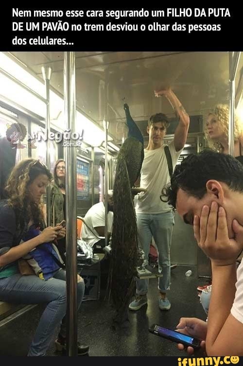 Nem mesmo esse cara segurando um FILHO DA PUTA DE UM PAVÃO no trem desviou olhar das pessoas dos celulares...