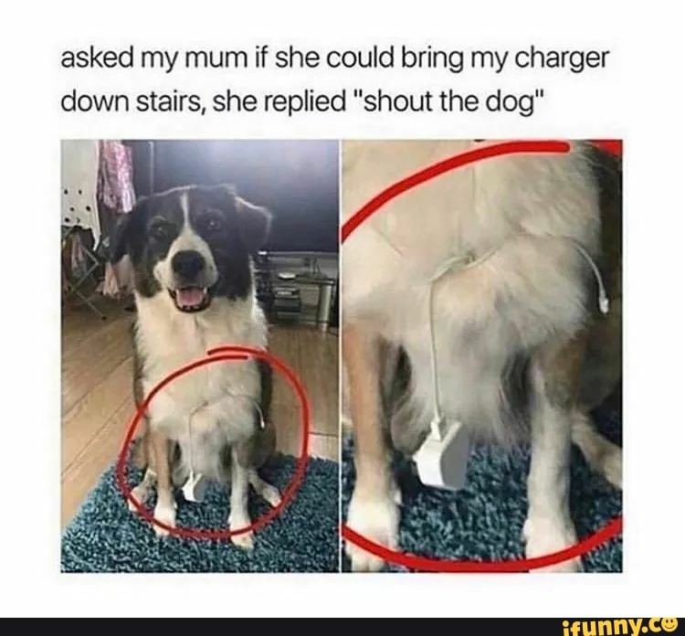 asked my mum if she could bring my charger
down stairs, she replied "shout the dog"