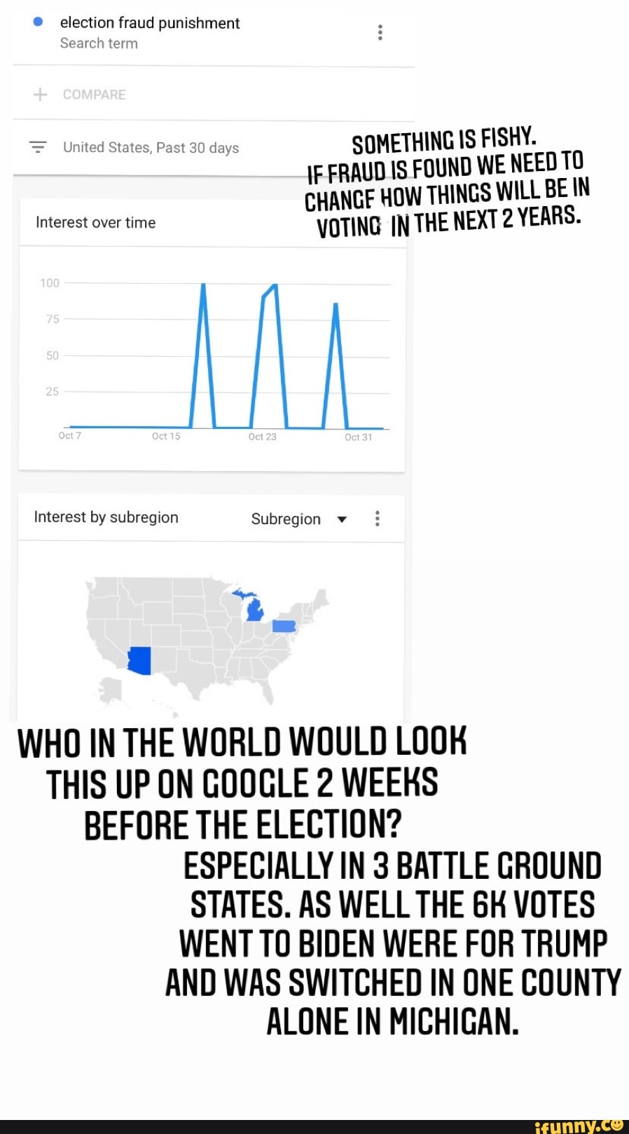 google trends election fraud punishment
