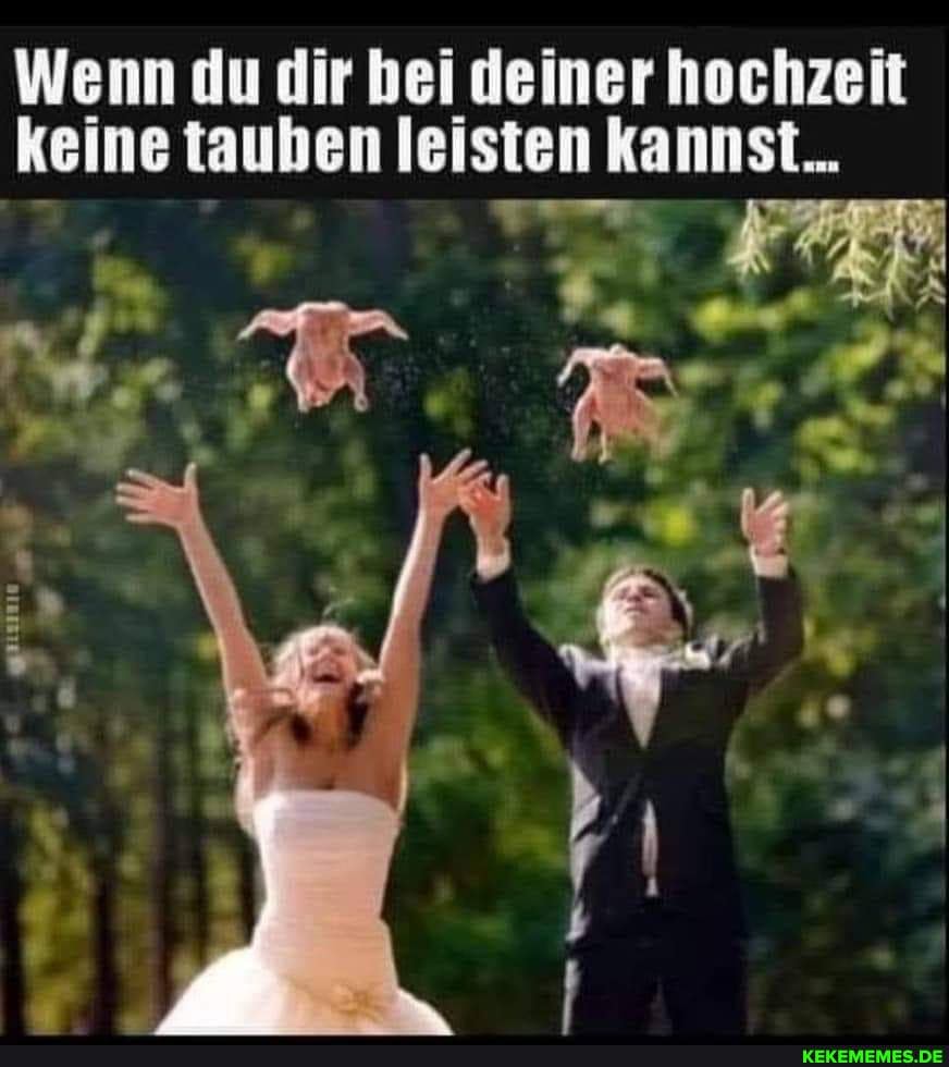 Wenn du dir bei deiner hochzeit keine tauben leisten kannst...
ER