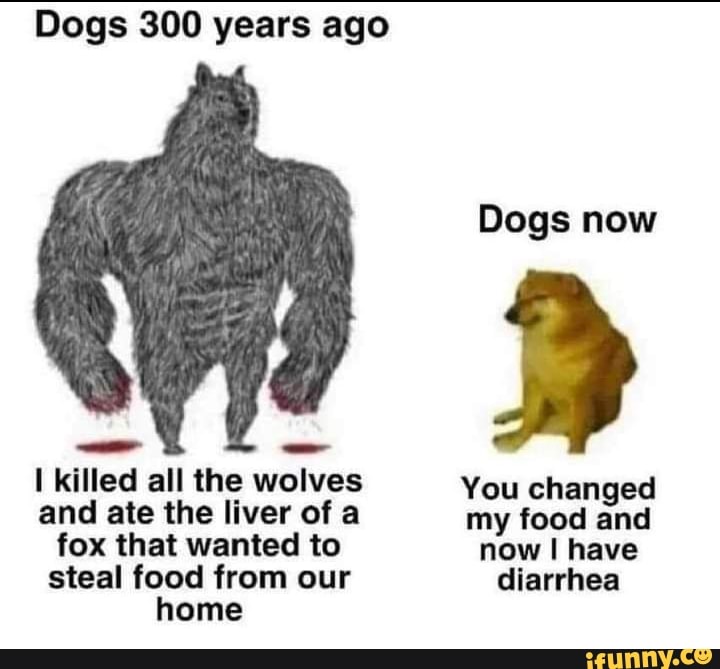Dogs 300 years ago Dogs now I killed all the wolves You changed and ate