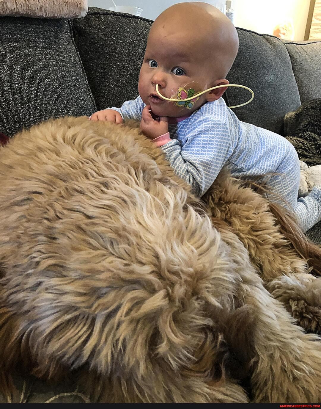 baby, niece, getting, ride, falkor, morning