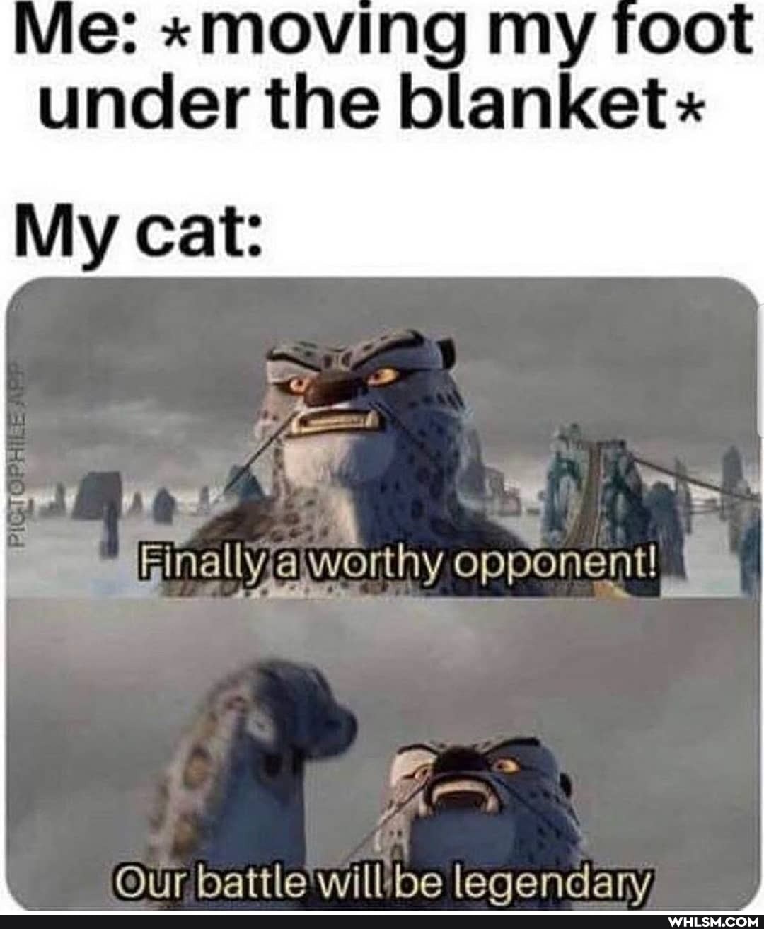 Vie: *moving my foot under the blanket
My cat:
opponent!
Our battle will be legendary