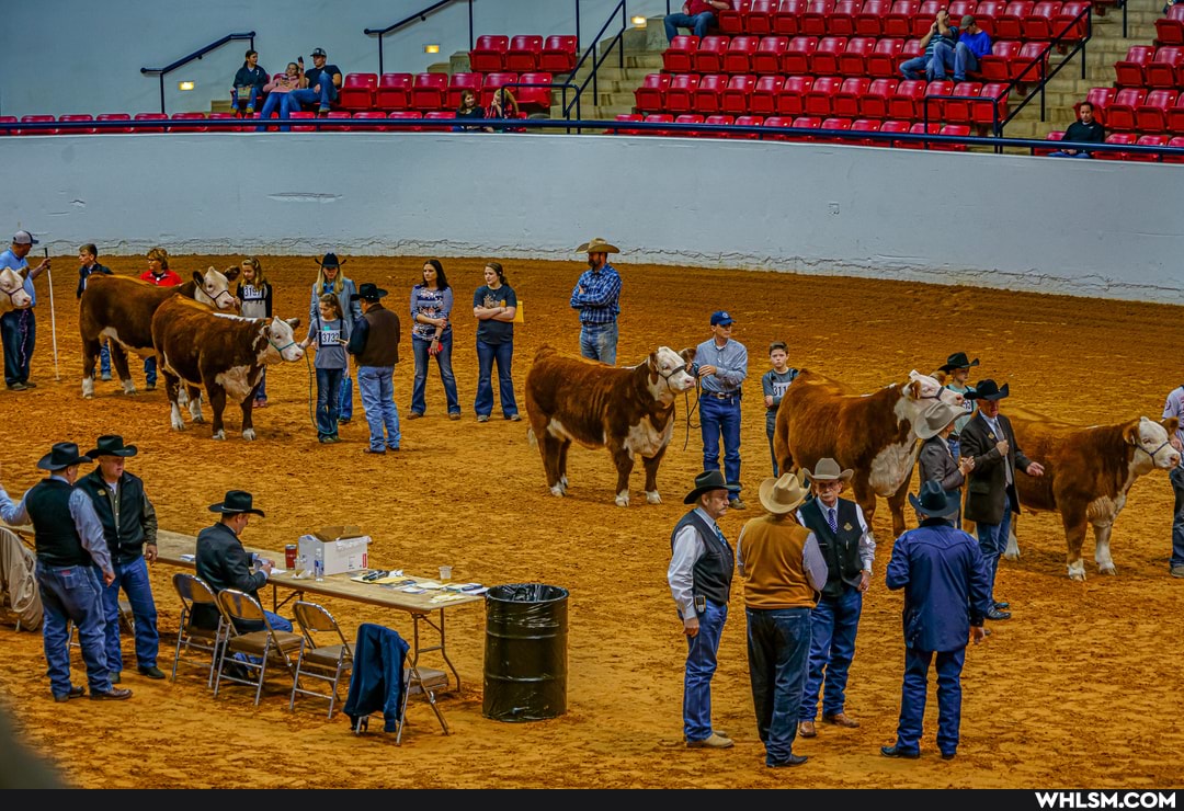 street_photography, texas, photography, people