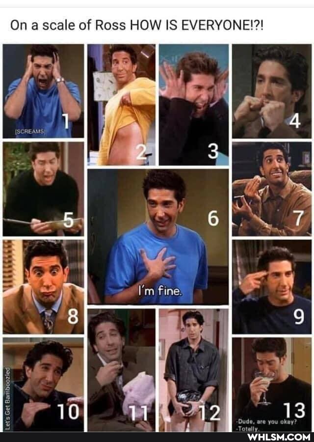 On a scale of Ross HOW IS EVERYONE!?!
I'm Fine!