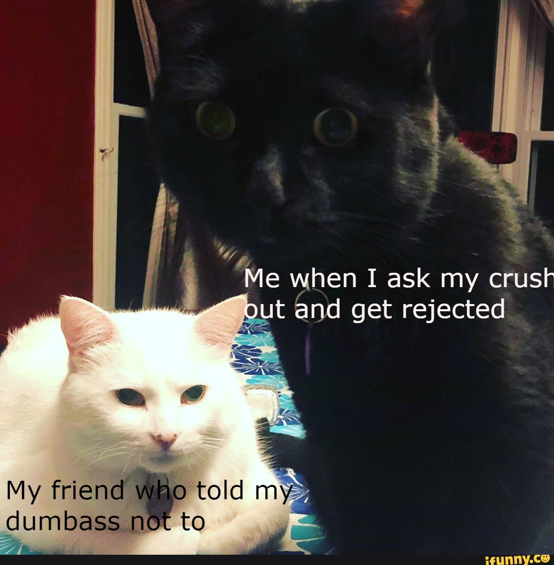 I made this meme for no reason, I love these cats though thank you ...