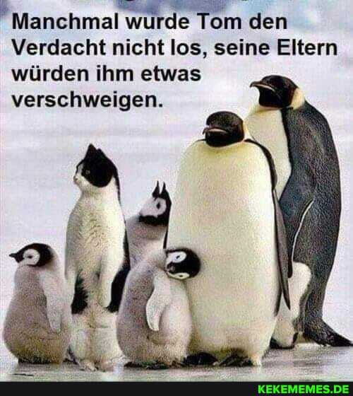 Manchmal wurde Tom den
Verdacht nicht los, seine Eltern würden ihm etwas verschweigen.