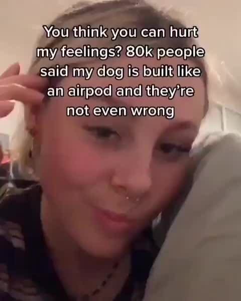 You Think You Can Hurt My Feelings Sok People Said My Dog Is Built Like An Airpod And They Re Not Even Wrong You Think You Can Hurt My Feelings Sok People Said My Dog Is Built Like An Airpod And They Re Not Even Wrong