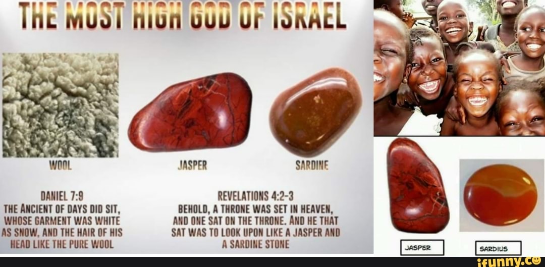 Sardine memes. Best Collection of funny Sardine pictures on iFunny