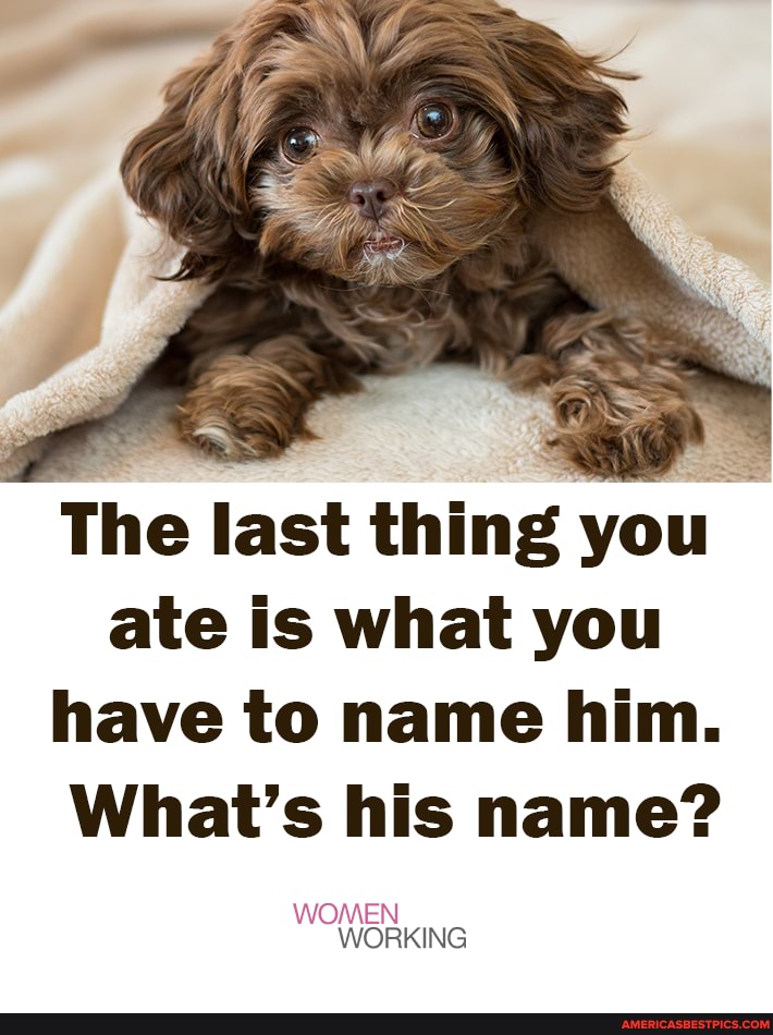 The last thing you ate is what you have to name him.
What's his name?
WOMEN WORKING