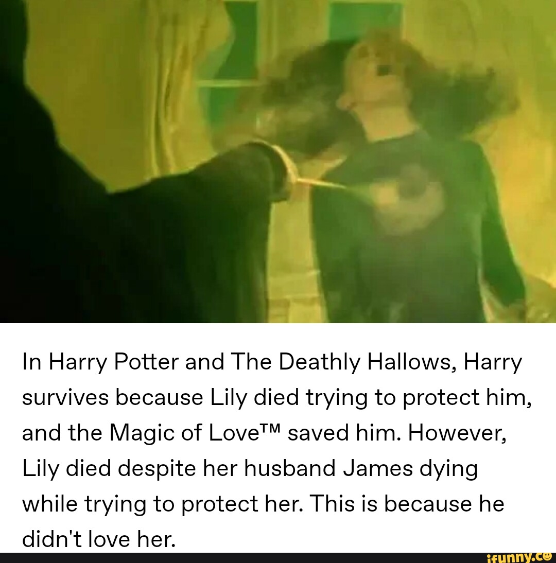 Image tagged with harry potter harry potter memes funny on Tumblr