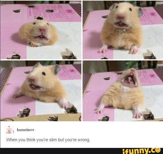 When you think you're slim but you're wrong.