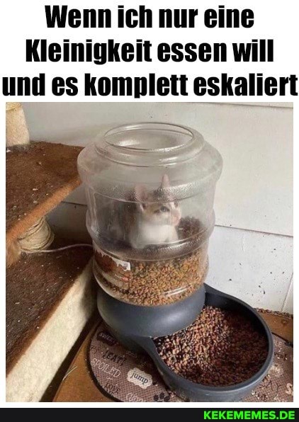 Wenn ich nur eine
Kleinigkeit essen will und es komplett eskaliert