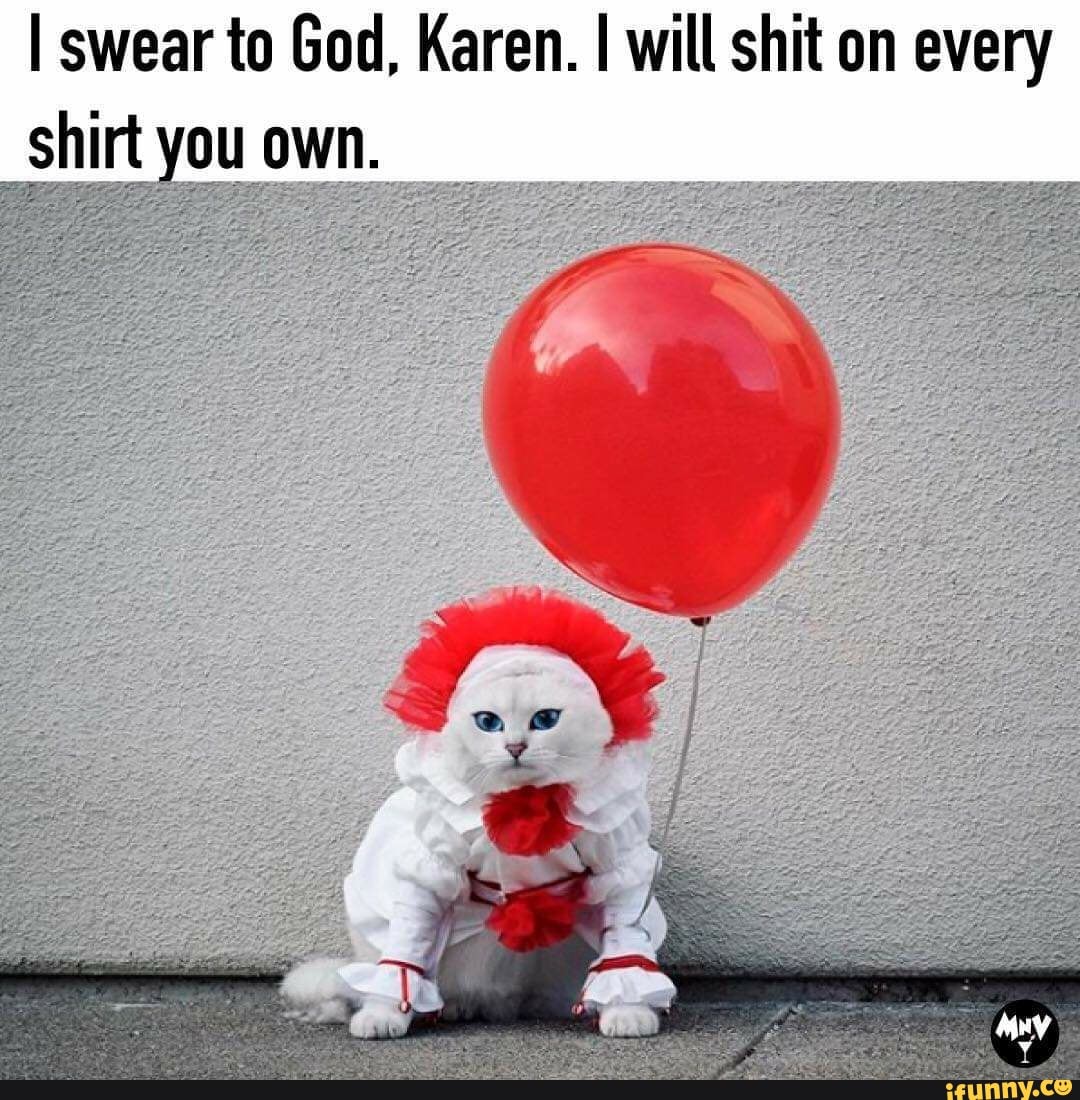 i-swear-to-god-karen-i-will-shit-on-every-gt-shirt-you-own-ifunny