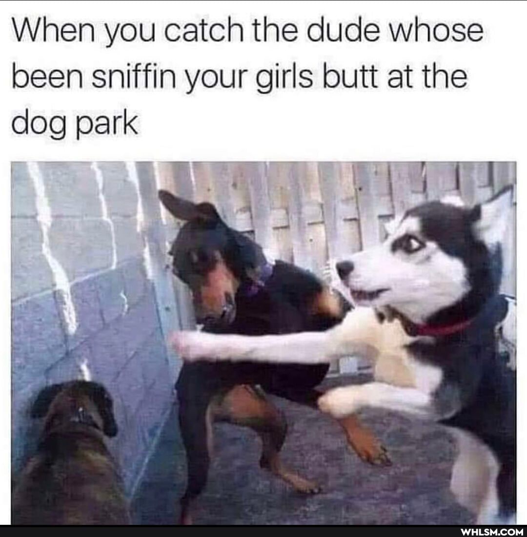 When you catch the dude whose been sniffin your girls butt at the dog park