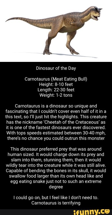 Dinosaur of the Day Carnotaurus (Meat Eating Bull) Height: 8-10 feet ...