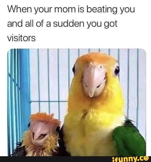 When your mom is beating you
and all of a sudden you got
visitors