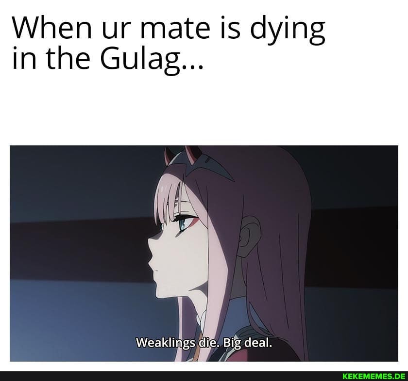 When ur mate is dying in the Gulag...
Weaklings die, Big deal.