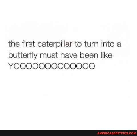 The first caterpillar to turn into a butterfly must have been like ...