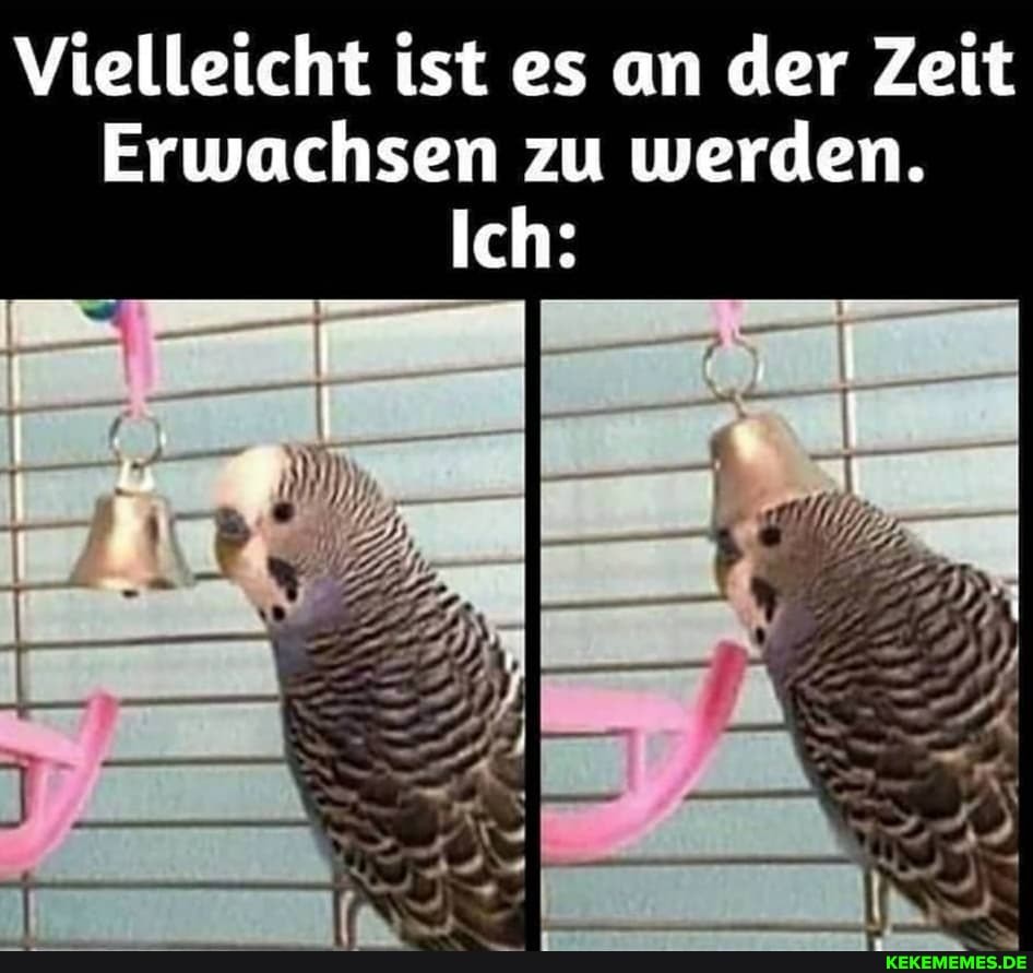Vielleicht ist es an der Zeit
Erwachsen zu werden.
Ich: