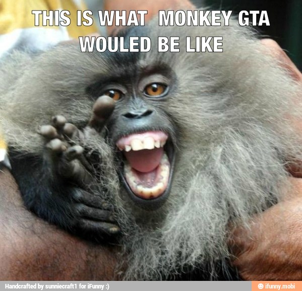 THIS IS WHAT MONKE
