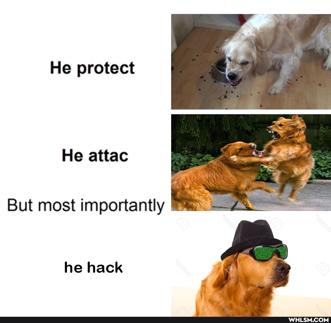 He protect
He attac
But most importantly
he hack