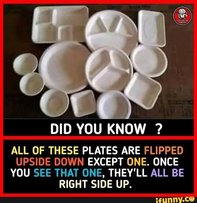 DID YOU KNOW ? ALL OF THESE PLATES ARE FLIPPED UPSIDE DOWN EXCEPT ONE ...