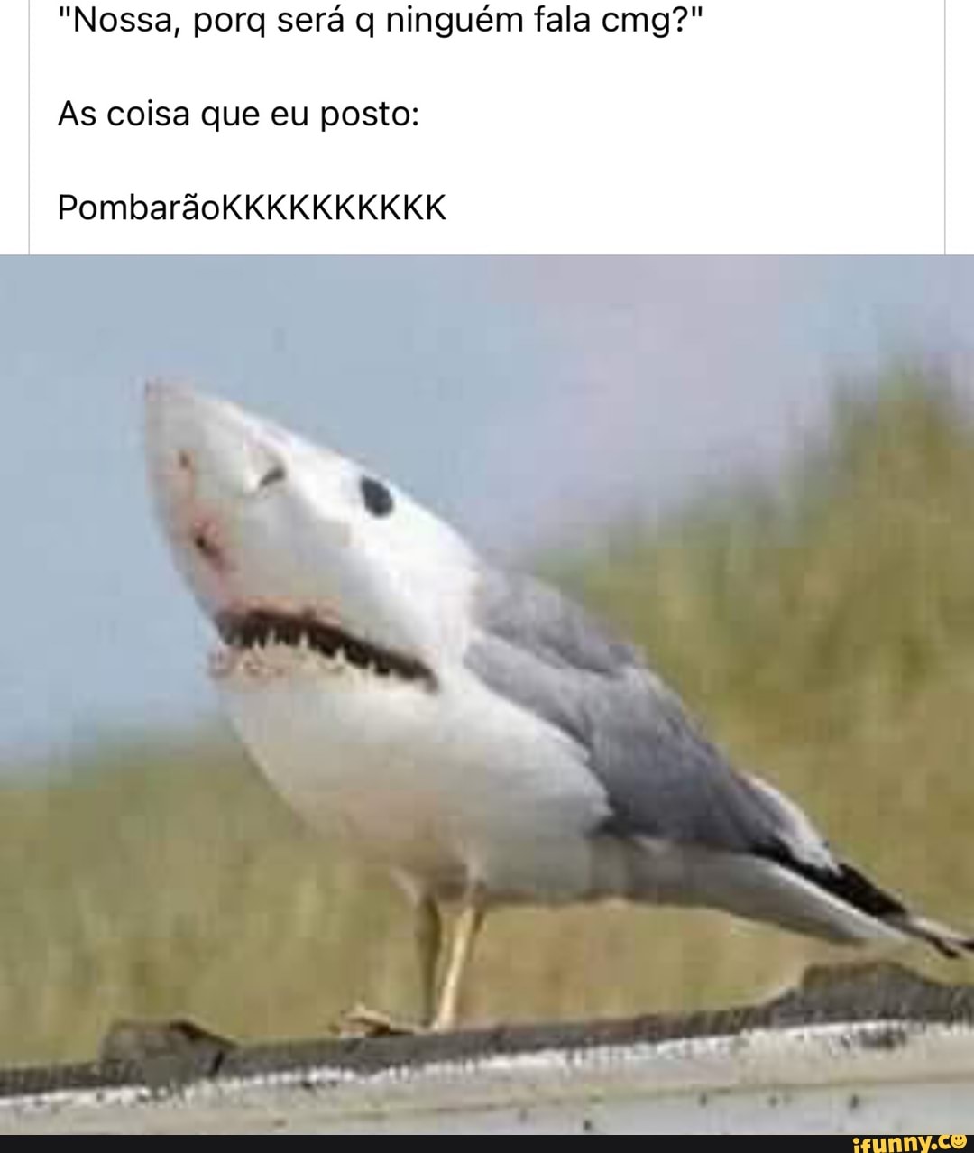 "Nossa, pora será ninguém fala emg?"
As coisa que eu posto:
PombarãoKKKKKIKKIKIKK