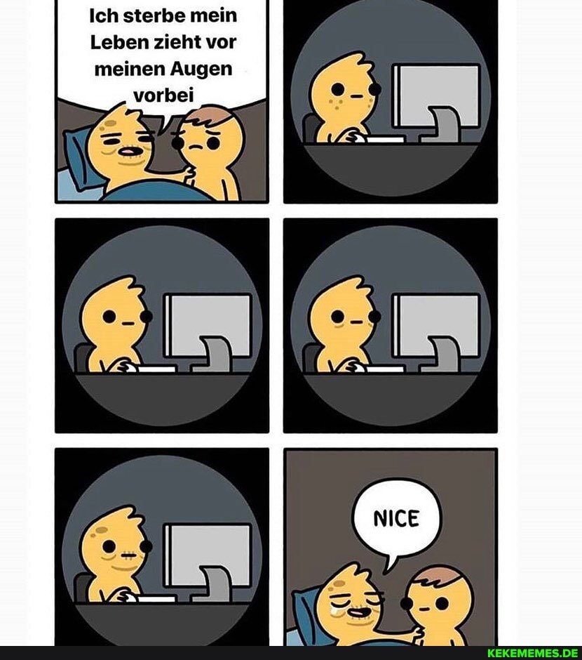 Ich sterbe mein
Leben zieht vor meinen Augen
