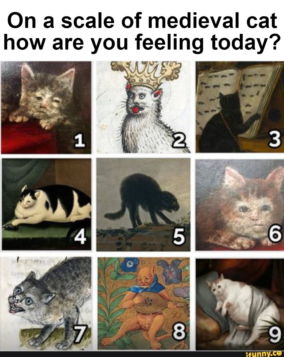 On A Scale Of Medieval Cat How Are You Feeling Today Ifunny