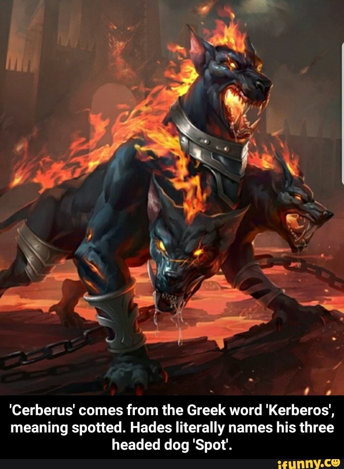 facts about hades dog