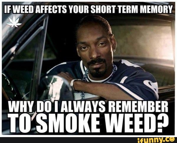 IF WEED AFFECTS YOUR SHORT TERM MEMORY WHY DO ALWAYS REMEMBER TO SMOKE ...