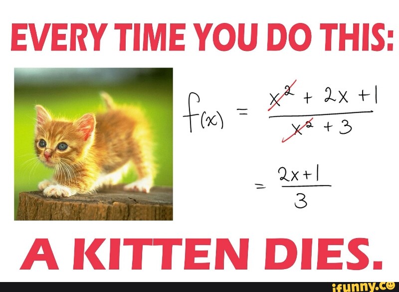EVERY TIME YOU DO THIS: A KITTEN DIES. - )