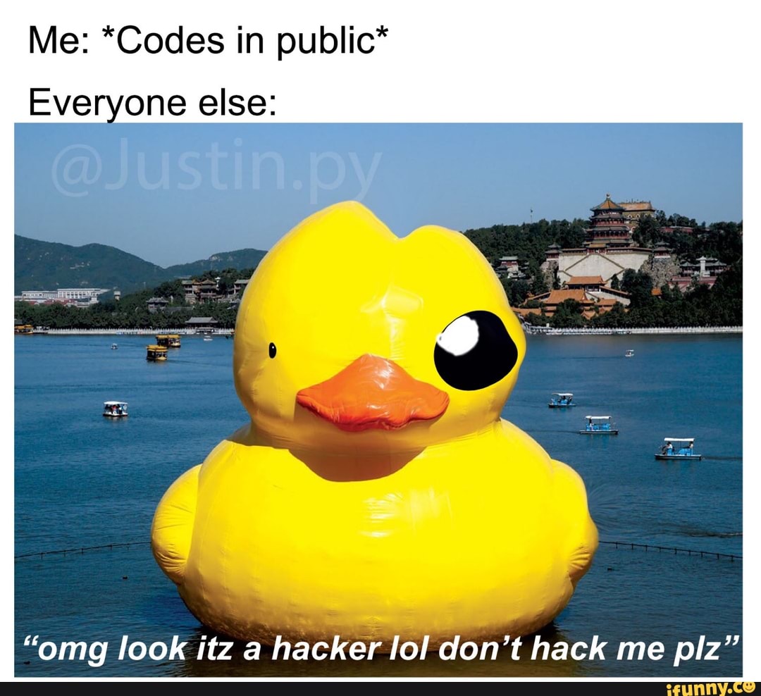 Me: *Codes in public*
_Everyone else:
"omg look itz a
hacker lol don't hack me plz"