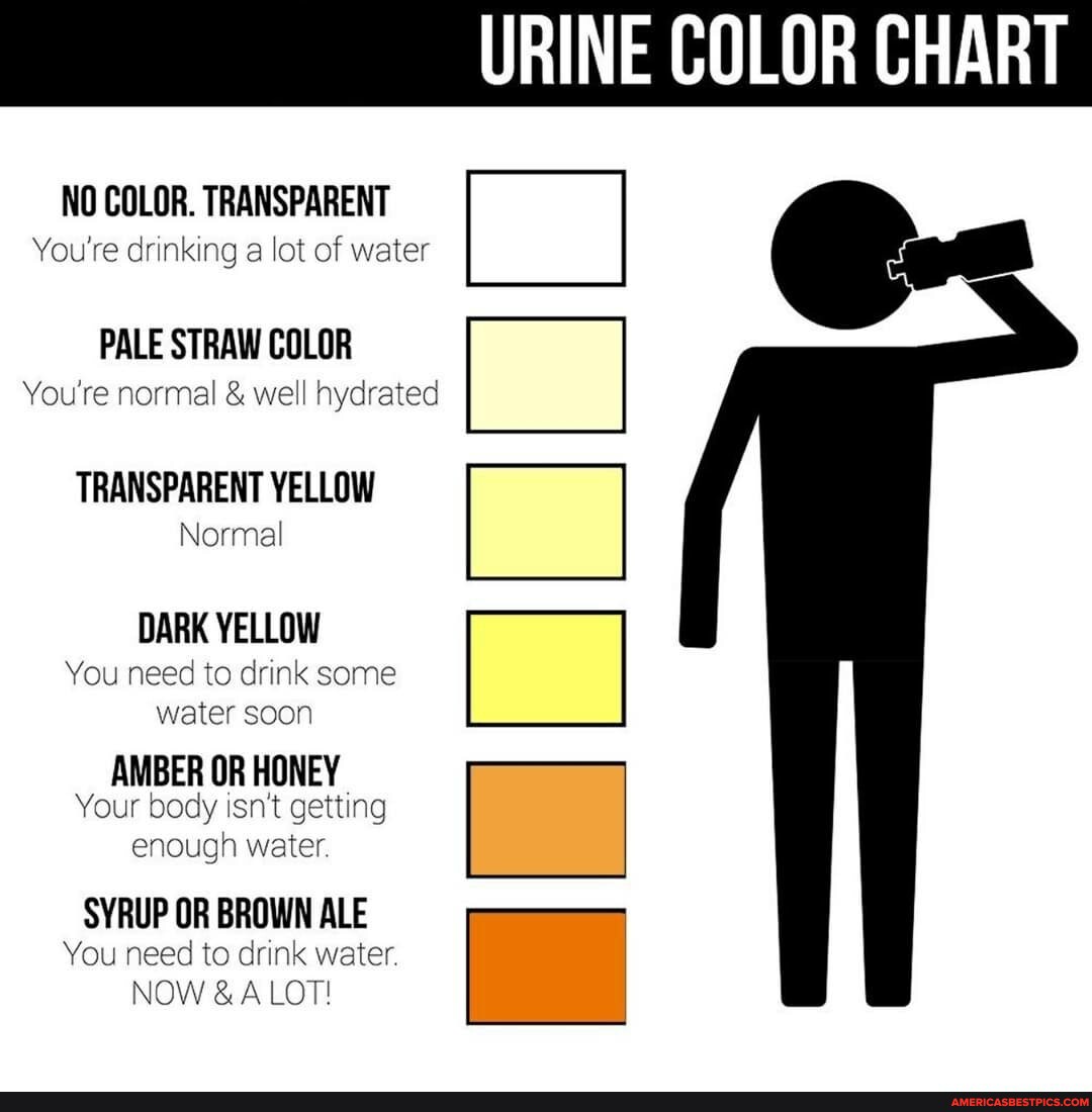URINE COLOR CHART I_I Ope NO COLOR. TRANSPARENT PALE STRAW COLOR You're