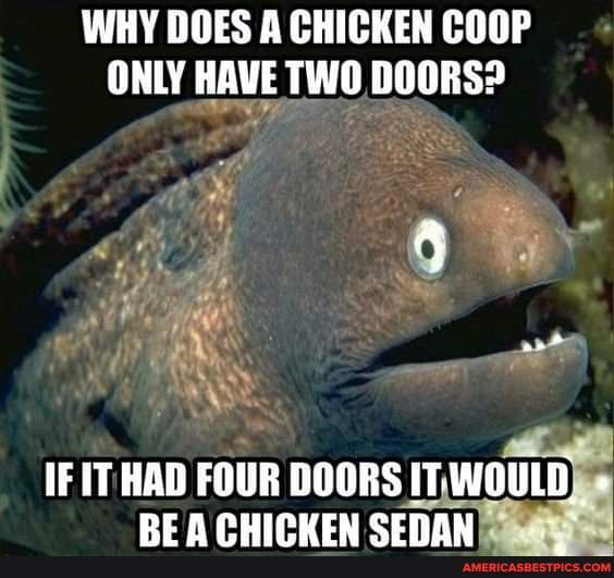 WHY DOES A CHICKEN COOP ONLY HAVE TWO DOORS? IF IT HAD FOUR DOORS BE A CHICKEN SEDAN America’s