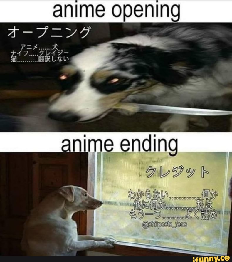 Anime Detour on Twitter Hello everyone and welcome back to Meme Monday  Todays meme is for the formula for openings and endings we all know and  love anime animememe meme mememonday shrek 