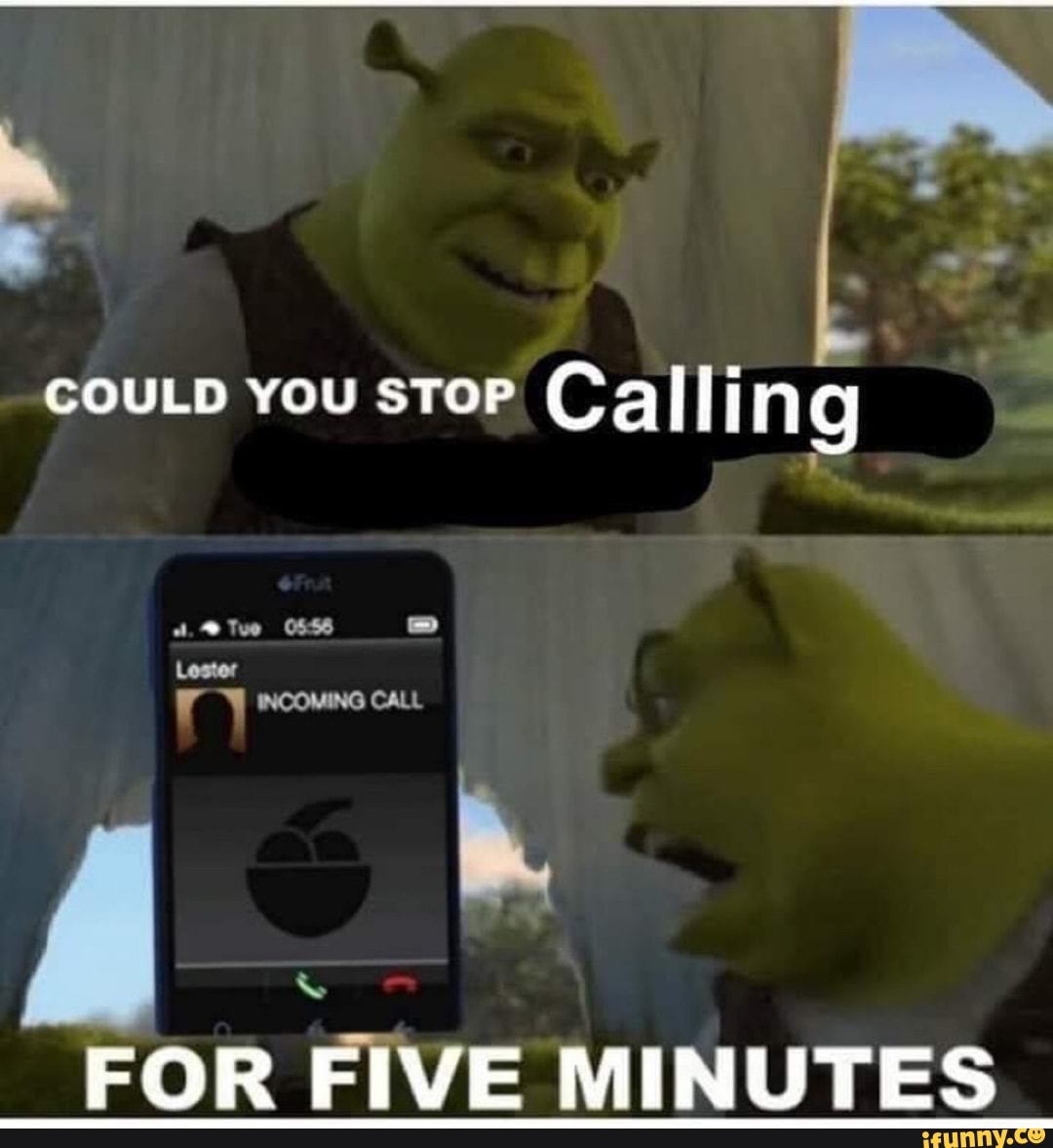 COULD YOU STOP Calling
@ TTve 0856 =
Loster
COMING CALL
FOR FIVE MINUTES