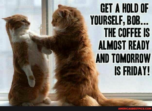 GET A HOLD OF YOURSELF, BOB...
THE COFFEE IS ALMOST READY
AND TOMORROW IS FRIDAY!