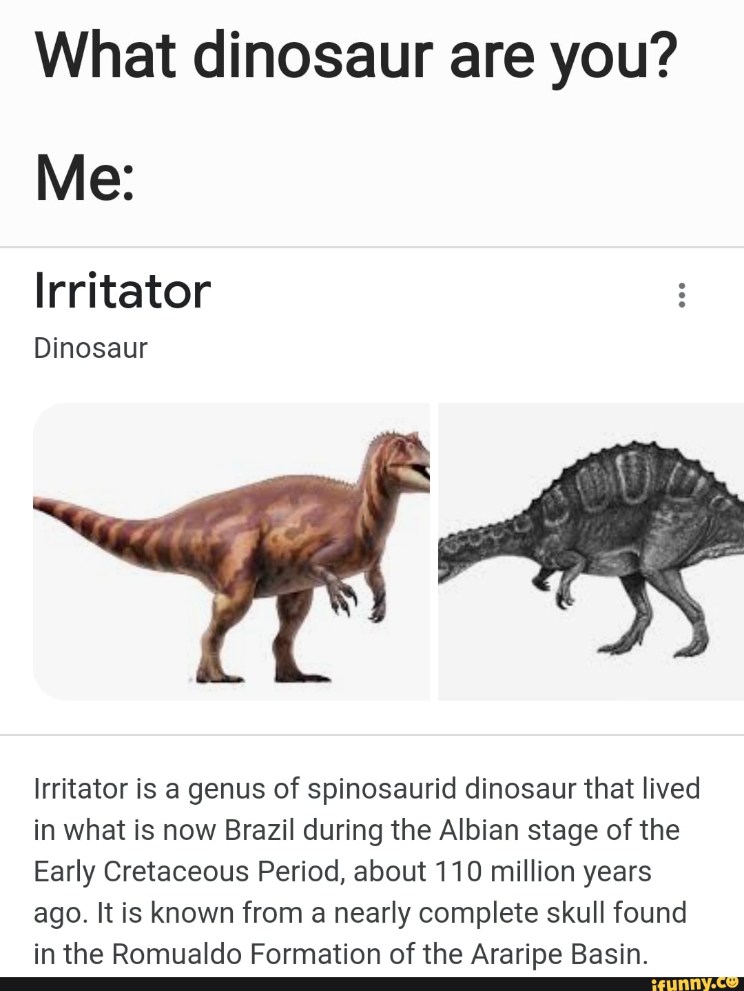 Irritator memes. Best Collection of funny Irritator pictures on iFunny