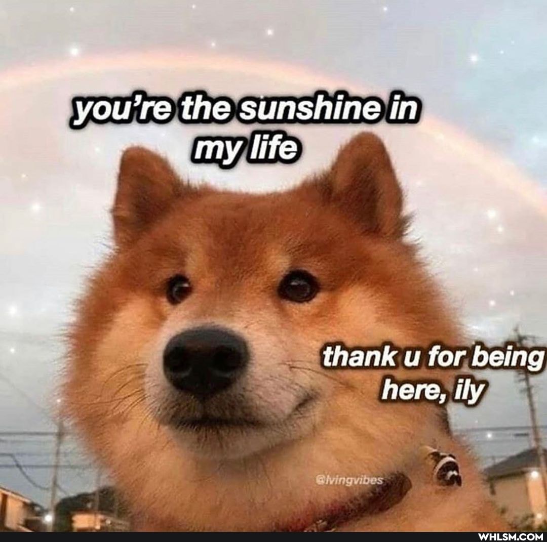 you're the sunshine in my life
thank u for being here, Hy