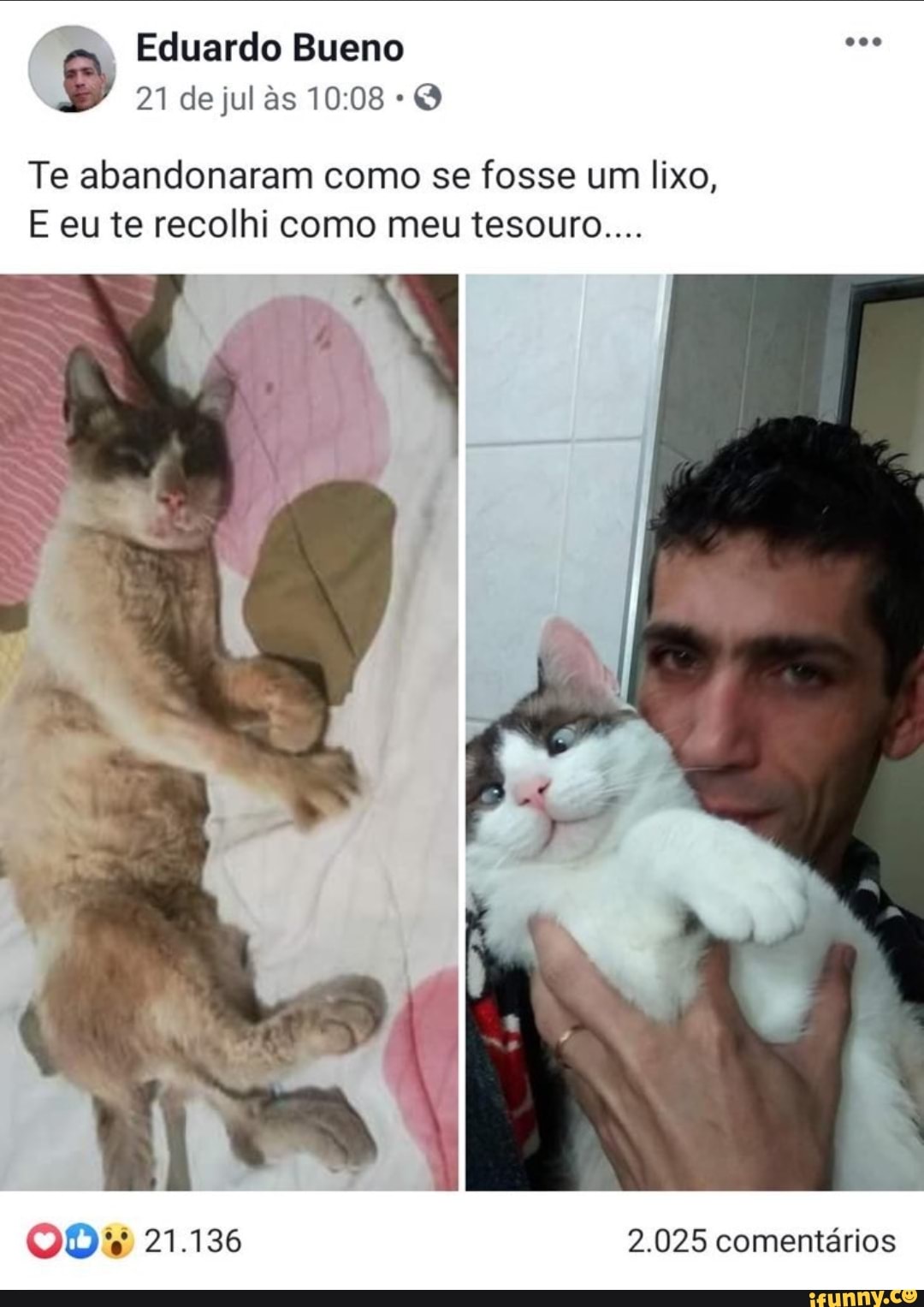 Eduardo Bueno Te abandonaram como se fosse um lixo,
E eu te recolhi como meu tesouro...