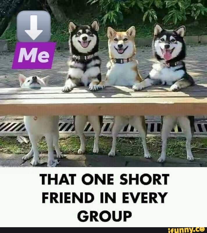 That One Short Friend In Every Ifunny That One Short Friend In Every Ifunny