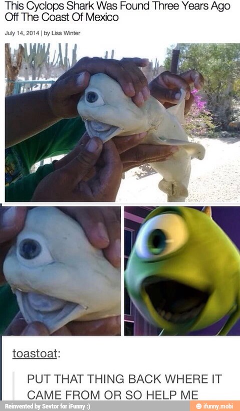 is Cyclops Shark Was Found Three Years Ago
Off The Coast Of Mexico
July 14, 2014
I by Lisa Winter
toastoat:
PUT THAT THING BACK WHERE IT
CAME FROM OR SO HELP ME