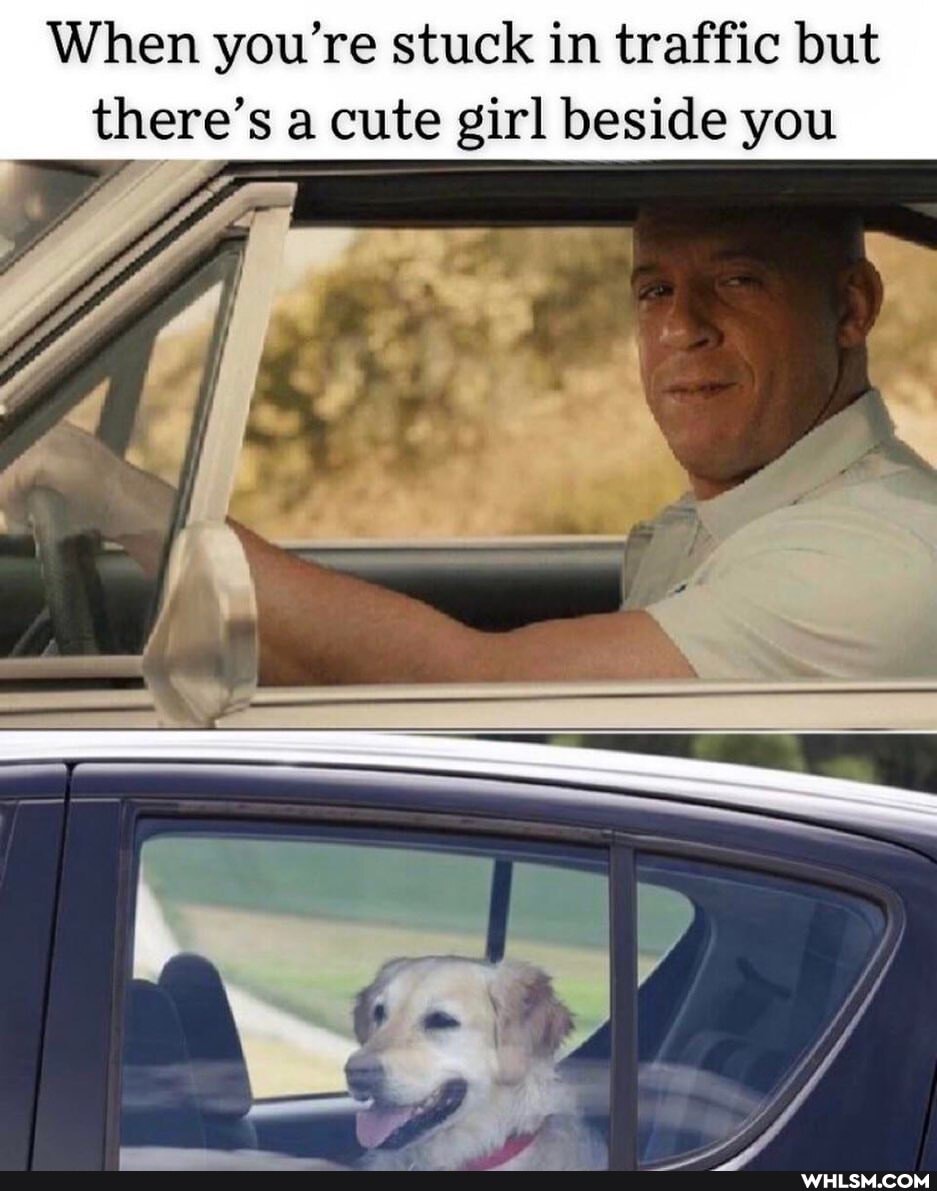 When you're stuck in traffic but there's a cute girl beside you