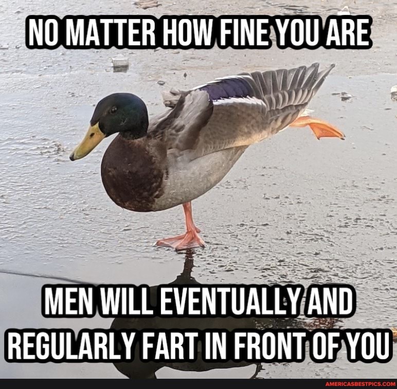NO MATTER HOW FINE YOU ARE
MEN WILL EVENTUALLY AND REGULARLY FART IN FRONT OF YOU