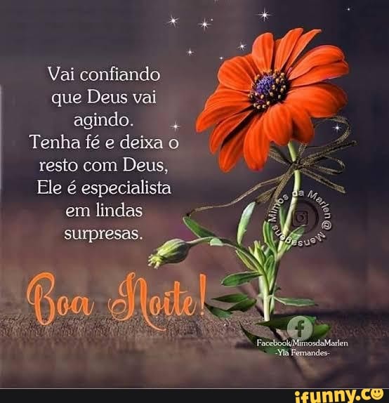 Vai confiando que Deus vai agindo.
Tenha fé e deixa o resto com Deus,
Ele é especialista em lindas surpresas.