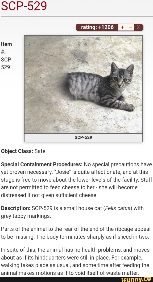 Scp 035 but cat form. This not true in scp website Poi (dead
